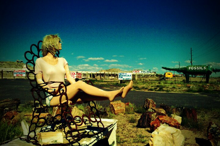 Stewart's Petrified Wood-霍尔布鲁克必去景点