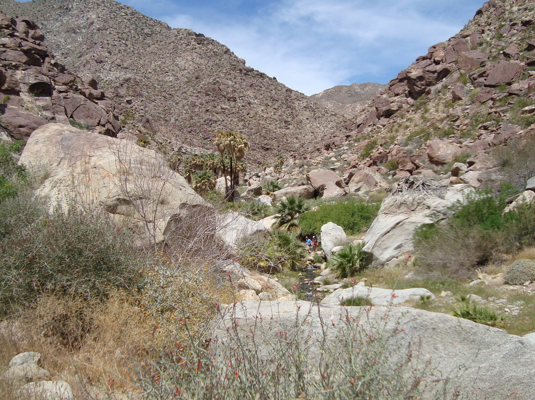 Anza-Borrego Desert State Park-波瑞戈泉必去景点