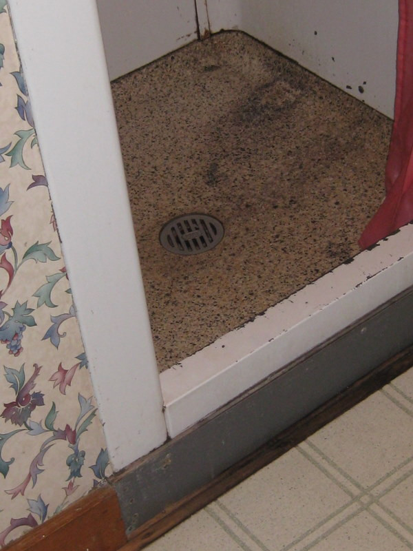 Tanglewood Motel and Cottages主图