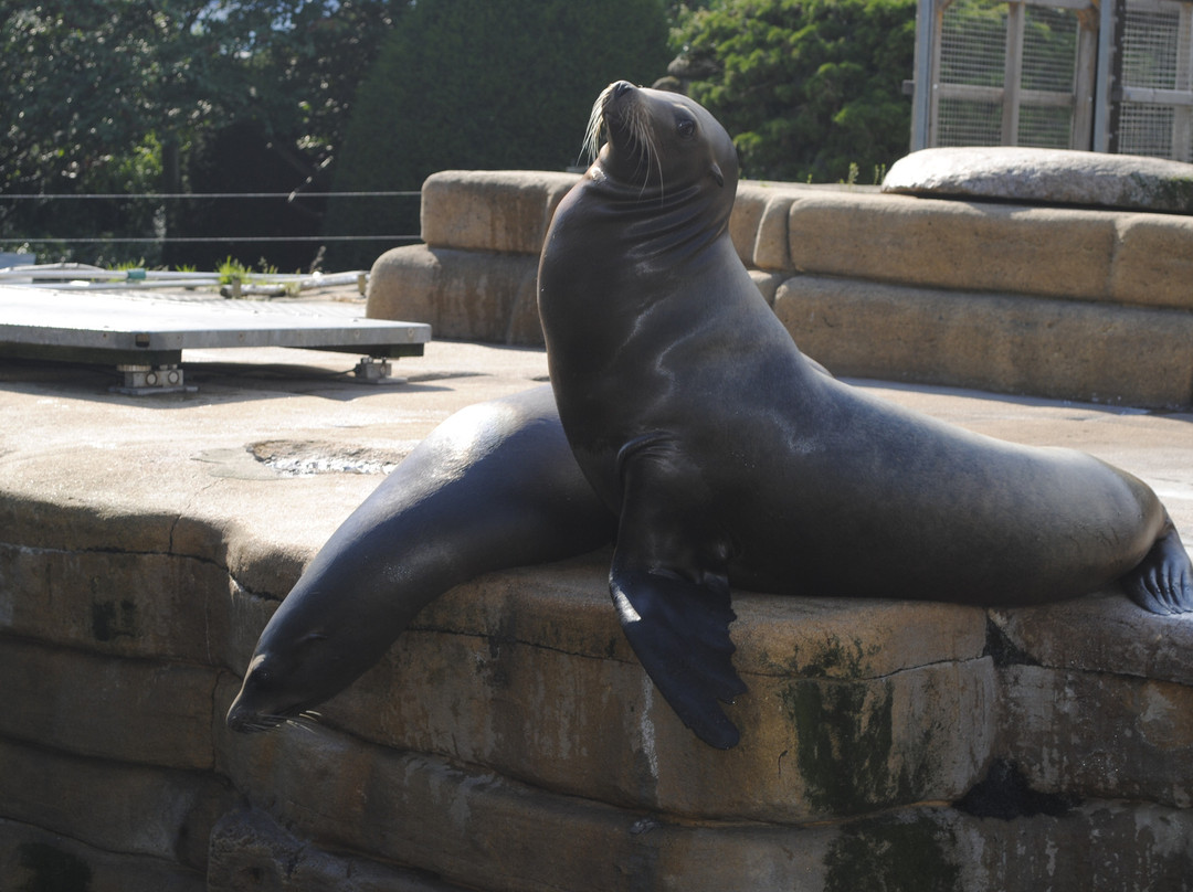 哥本哈根动物园-腓特烈堡必去景点