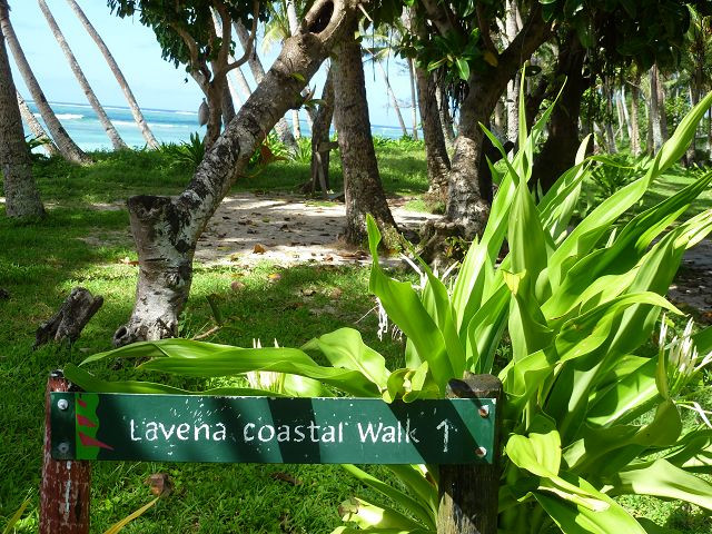 Lavena Coastal Walk-塔韦乌尼岛必去景点
