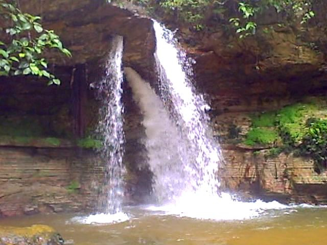 Amazon Amazing Tours-玛瑙斯必去景点