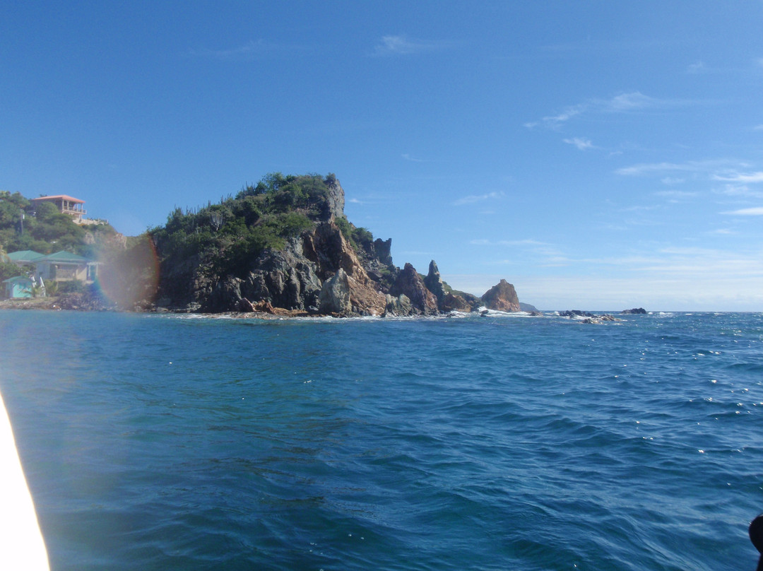 Hidden Reef Eco-Tours景点图片