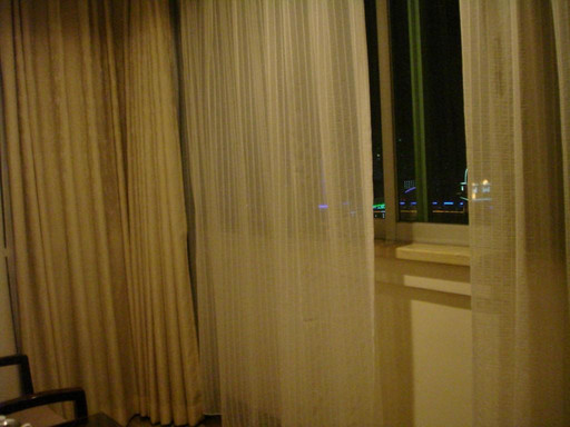 东辰大酒店主图