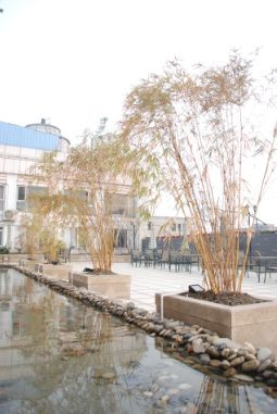 棕榈泉花园商务酒店主图