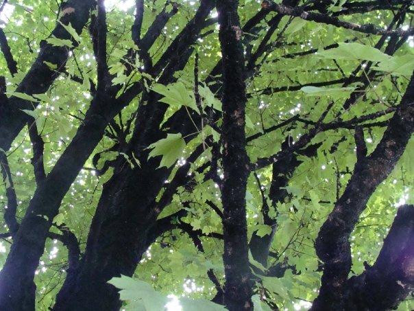 Jack Daniel's Distillery-Lynchburg必去景点