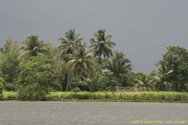 Orinoco River景点图片