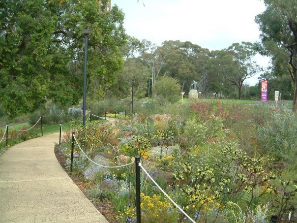 国王公园及植物园-珀斯必去景点