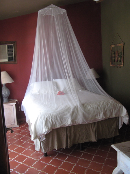 Cabo San Lucas Inn-客卧