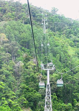 Skyrail Rainforest Cableway-Smithfield必去景点