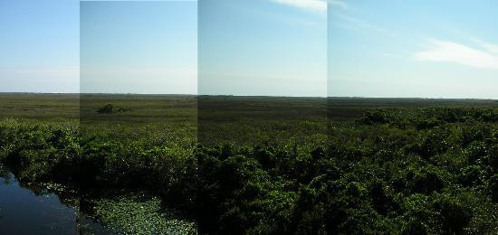 鲨鱼谷-大沼泽国家公园必去景点