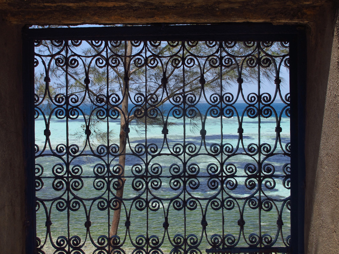 Prison Island - Changuu Private Island景点图片