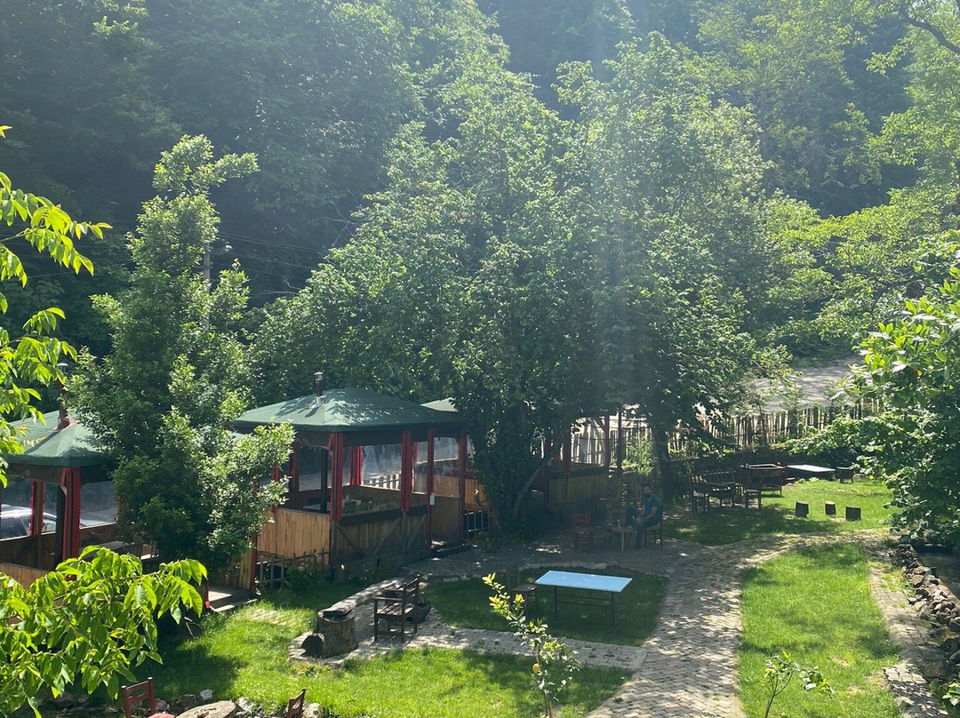 Yesil Dus Vadisi平房餐厅