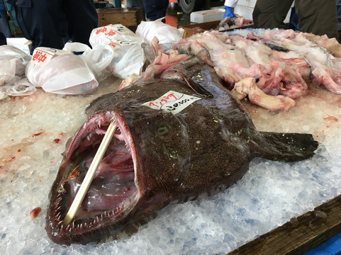 Shimonoseki Fishing Port-下关市必去景点