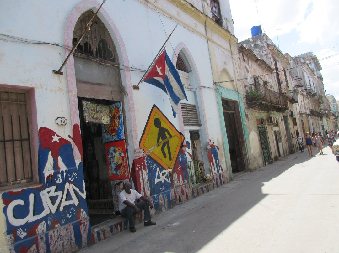 Best Vacations F&C Tours-圣多明哥必去景点