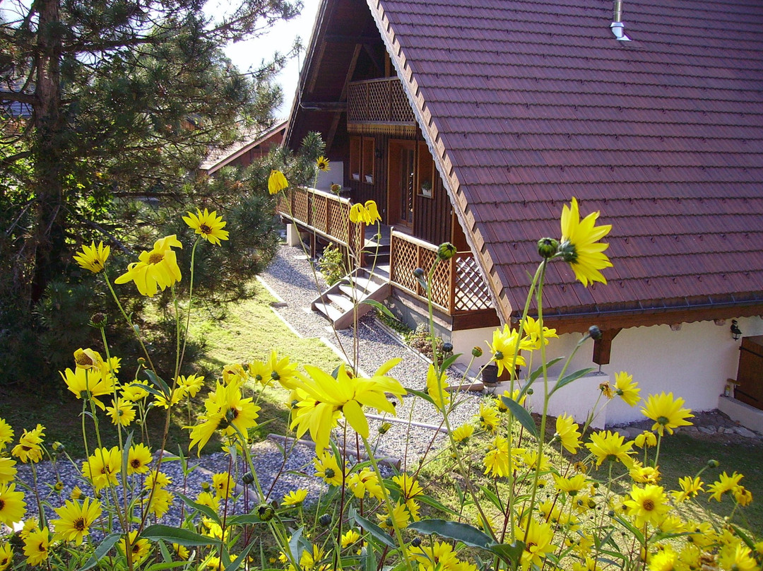 Villard-sur-Doron酒店住宿-Au Pres du Nant