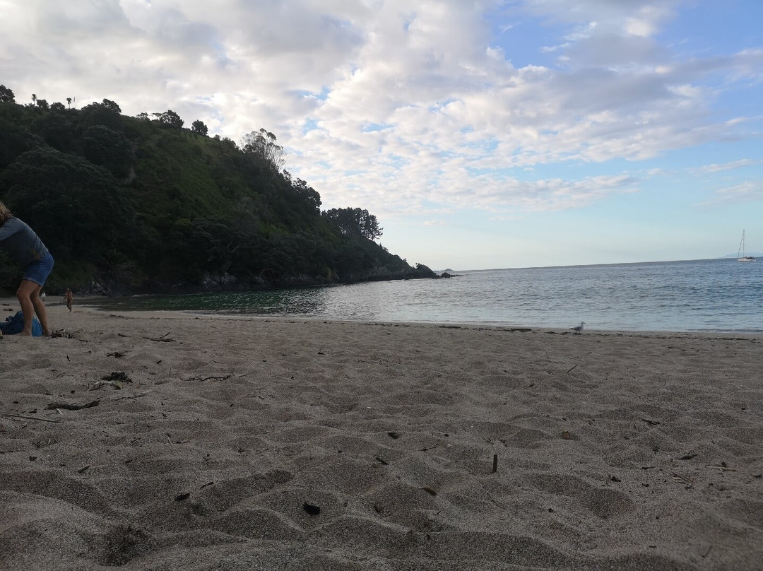 Little Palm Beach