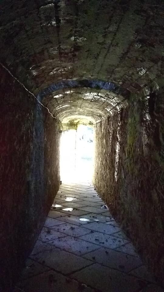 Wilton Castle-portrait