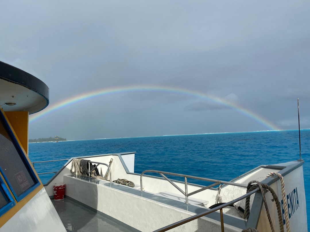 Saipan Submarine景点图片