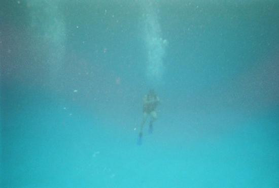 Buffalo旅游攻略图片