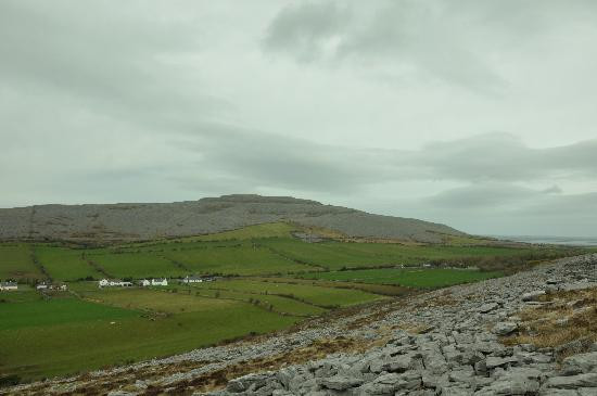 Burren Wild Tours景点图片