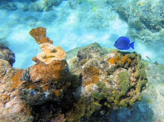 Spring Bay-维京果岛必去景点