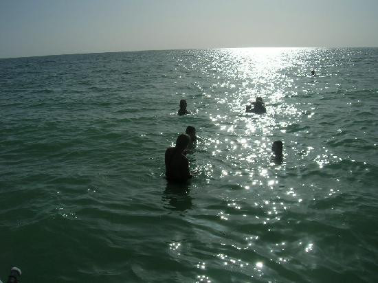 Cayo Costa State Park-Boca Grande必去景点