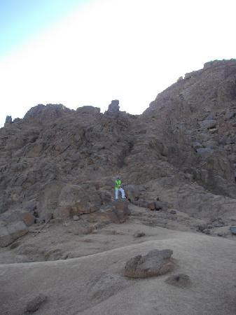 Sinai Safari Adventures-纳布克湾必去景点