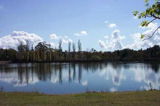 Lake Canobolas景点图片
