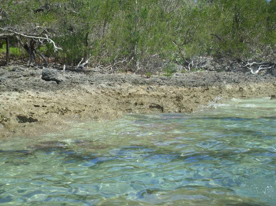 Blue Hole Water Sports-Hamilton Parish必去景点