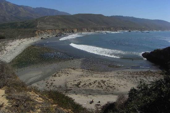 Andrew Molera State Park-大苏尔必去景点