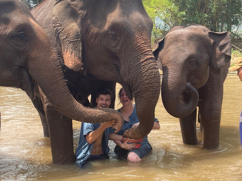 清迈T.U.M骑象之行-清迈必去景点