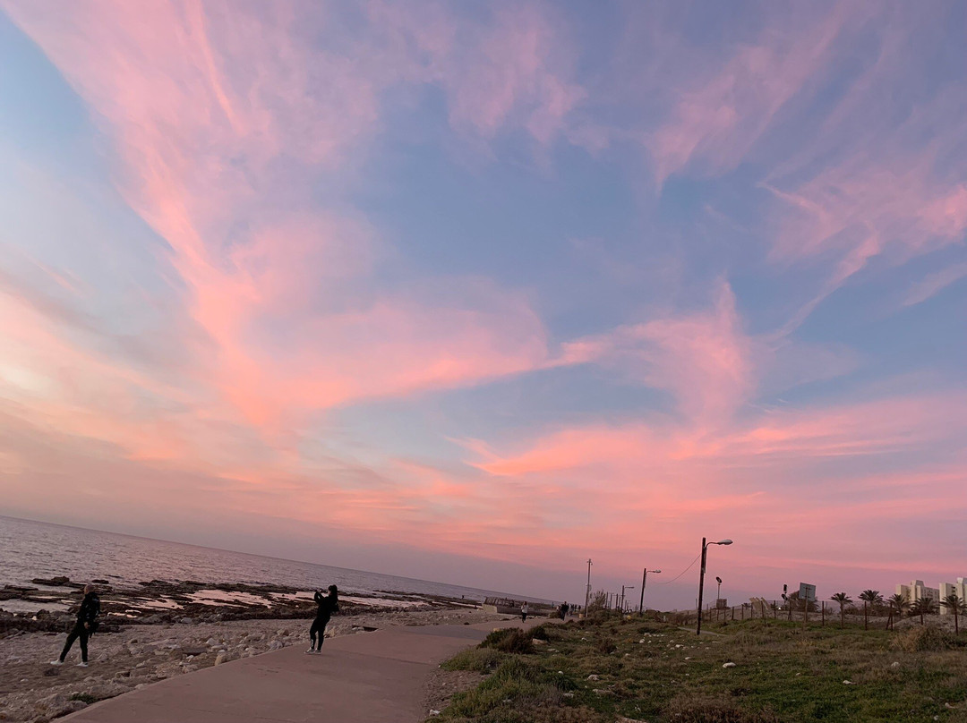 Hecht Park-Haifa必去景点
