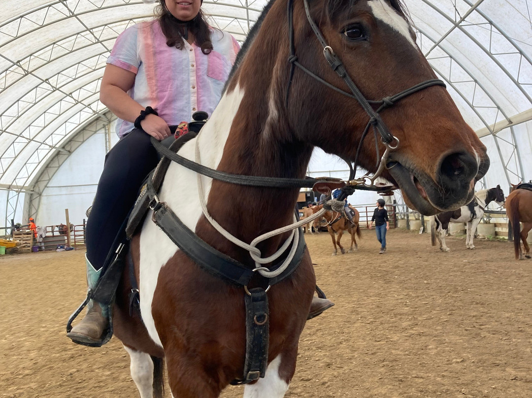 Letchworth Farm主图