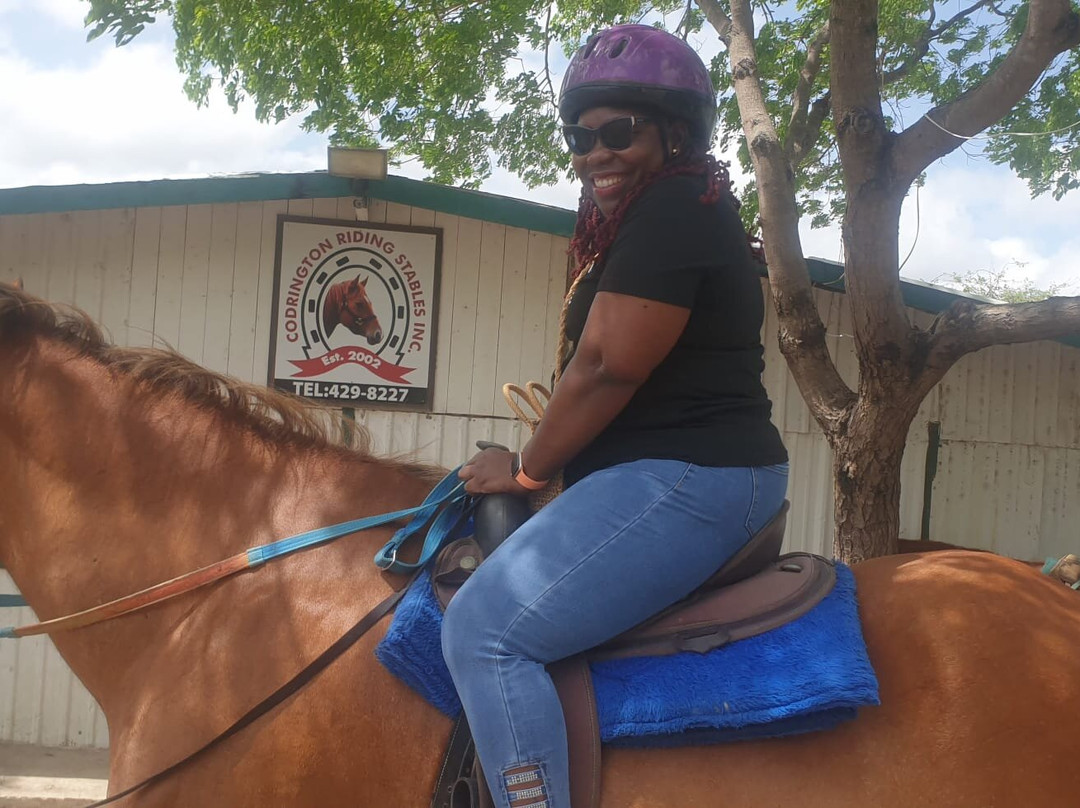 Codrington Riding Stables-Waterford必去景点