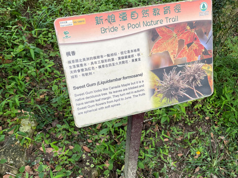 新娘潭自然教育径-香港必去景点