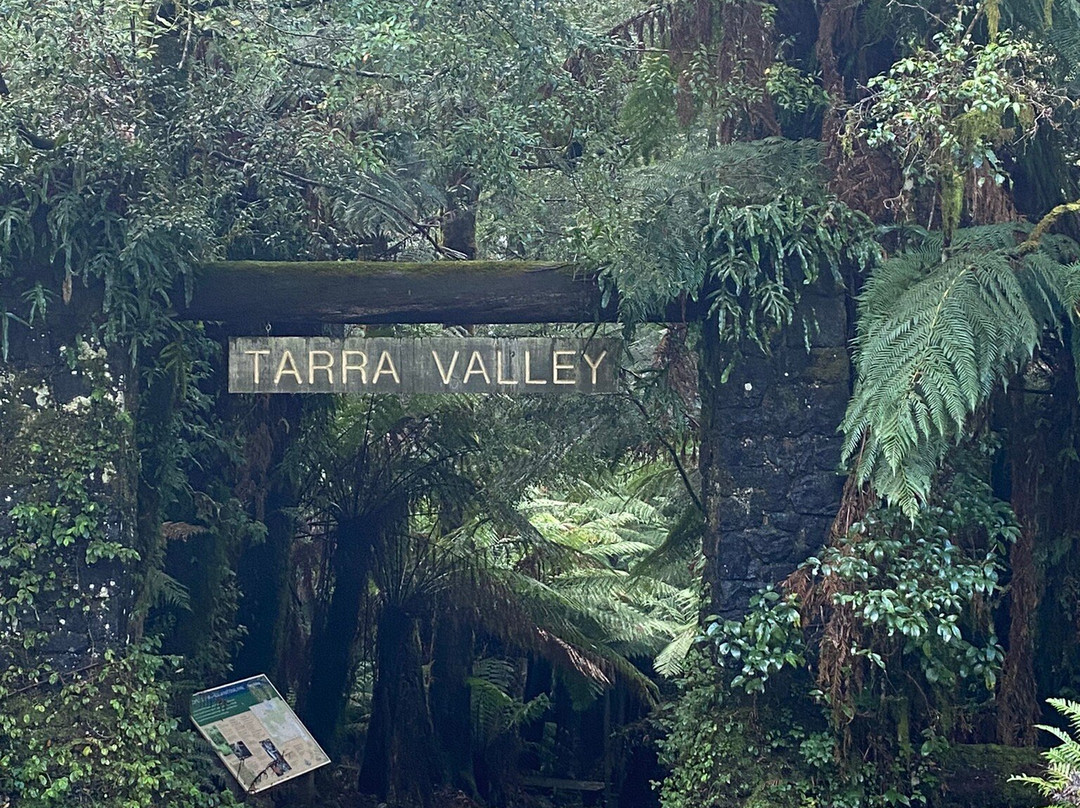 Cyathea Falls-Tarra Valley必去景点