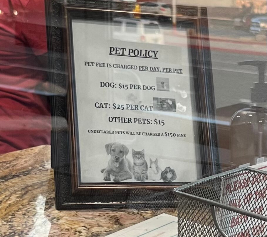 旅游洛吉酒店主图