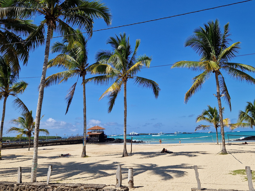 Hotel Albemarle主图