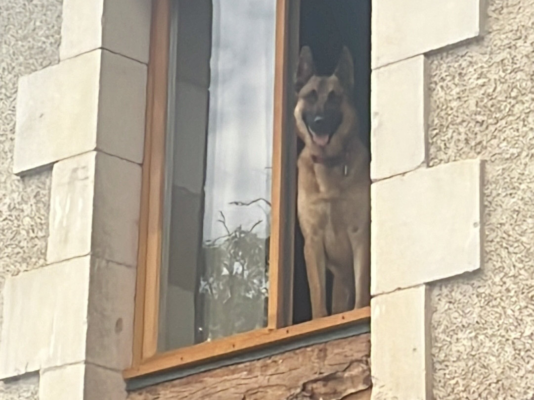 Route 66 hotel主图