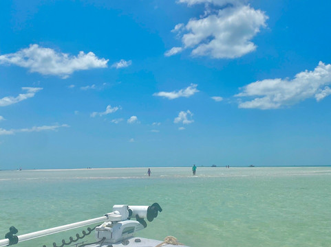 Clearwater Flats Fishing-帕姆港必去景点