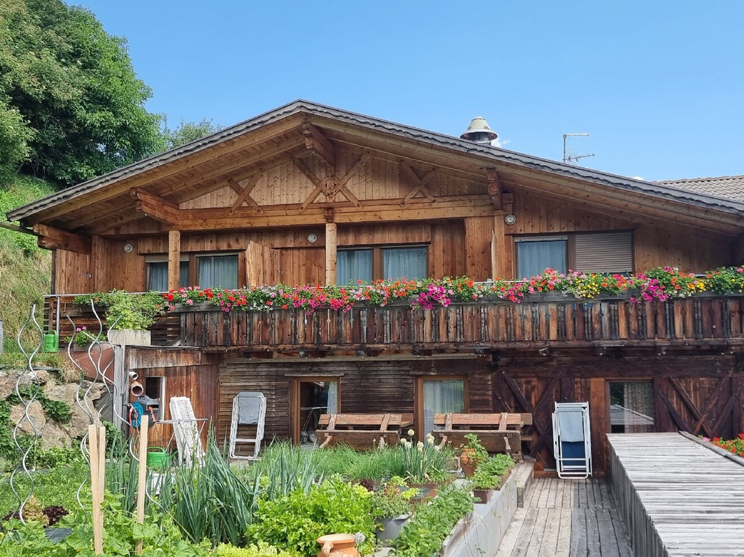 Berggasthof Häusler主图