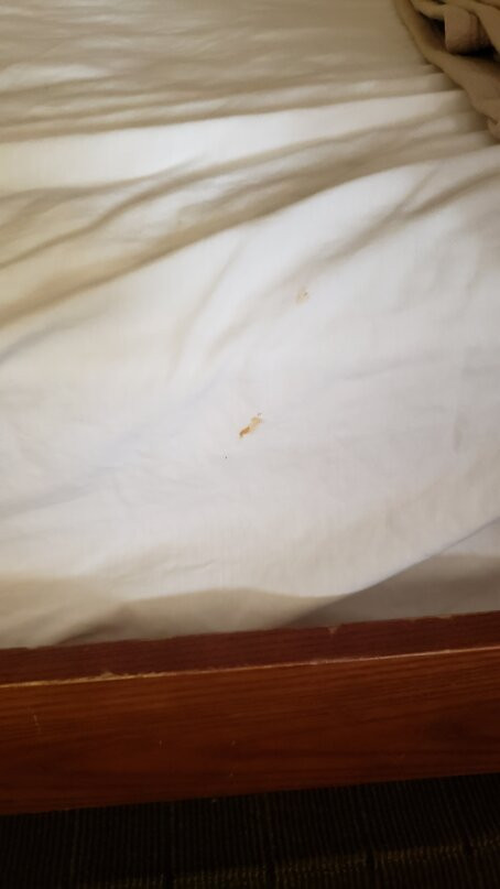 Big Splash Adventure Indoor Waterpark & Resort-French Lick必去景点