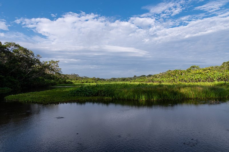 Parque Nacional del Yasuni - Fernando guia en la Amazonia景点图片