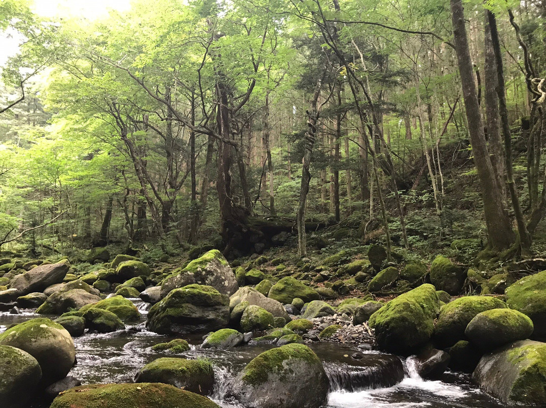 Shojinsawa Spring-盐谷町必去景点