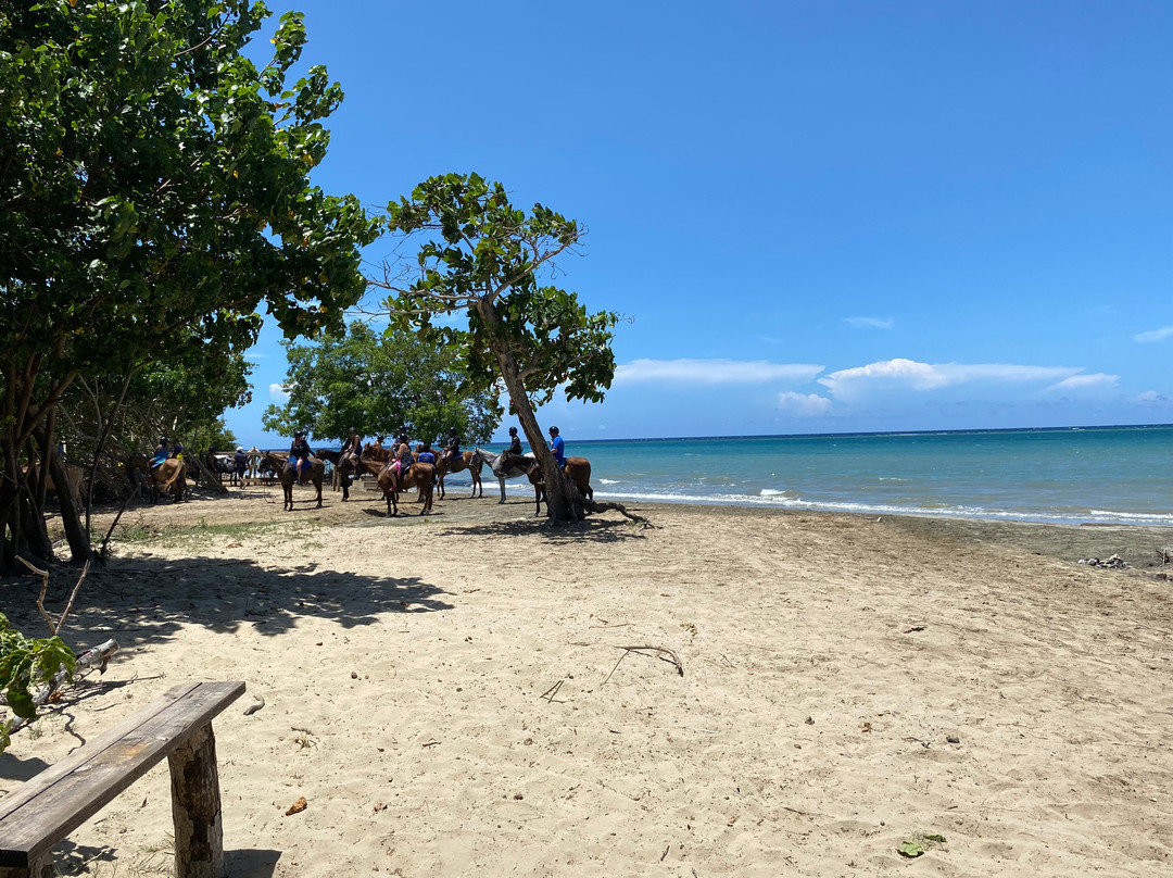 Jads Island Tours景点图片