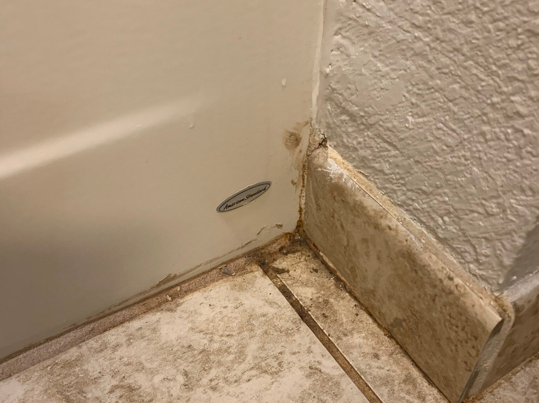 Holiday Inn Express & Suites Dubuque-west By IHG主图