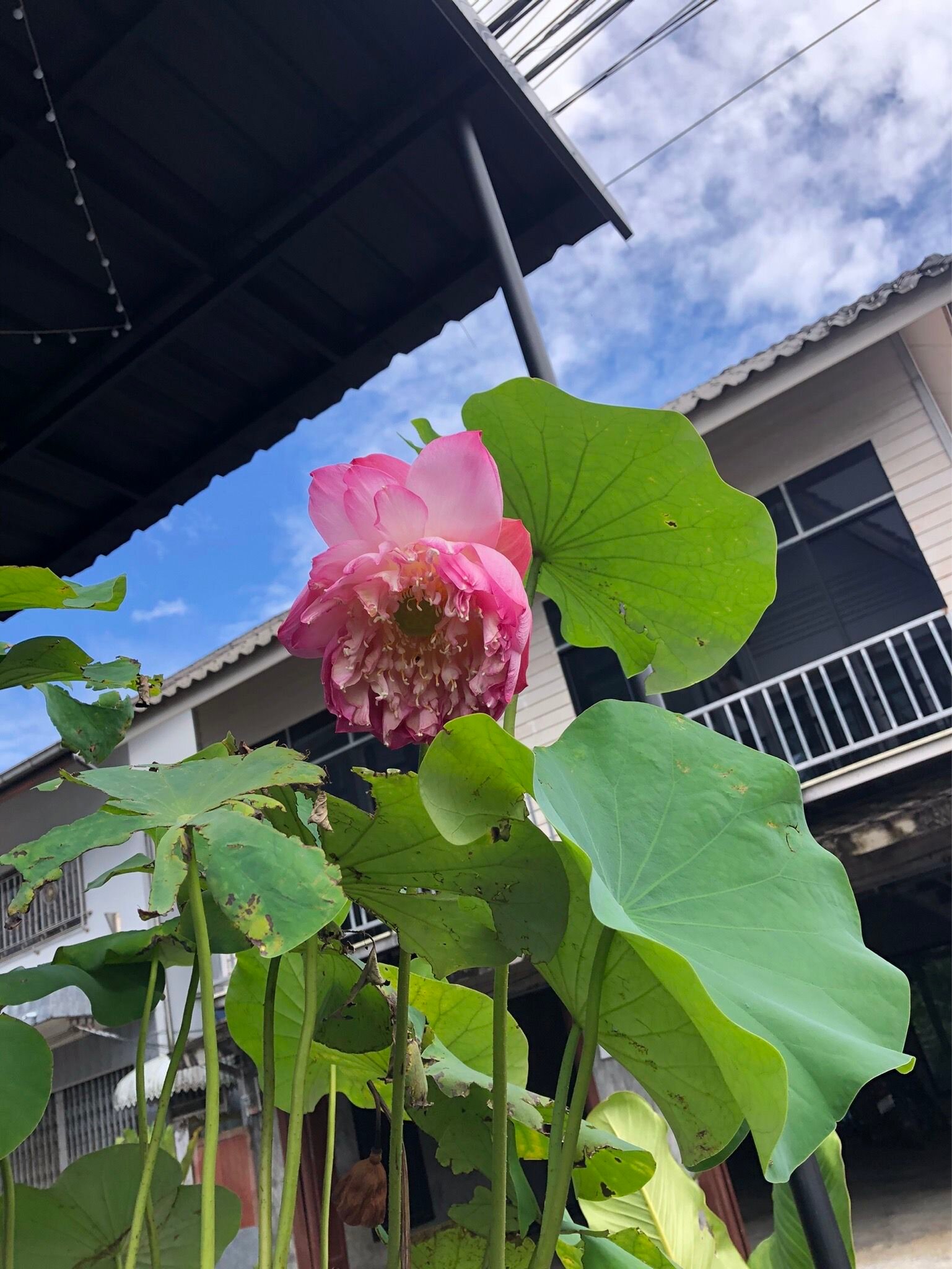 Trat 101 Hotel-浴室