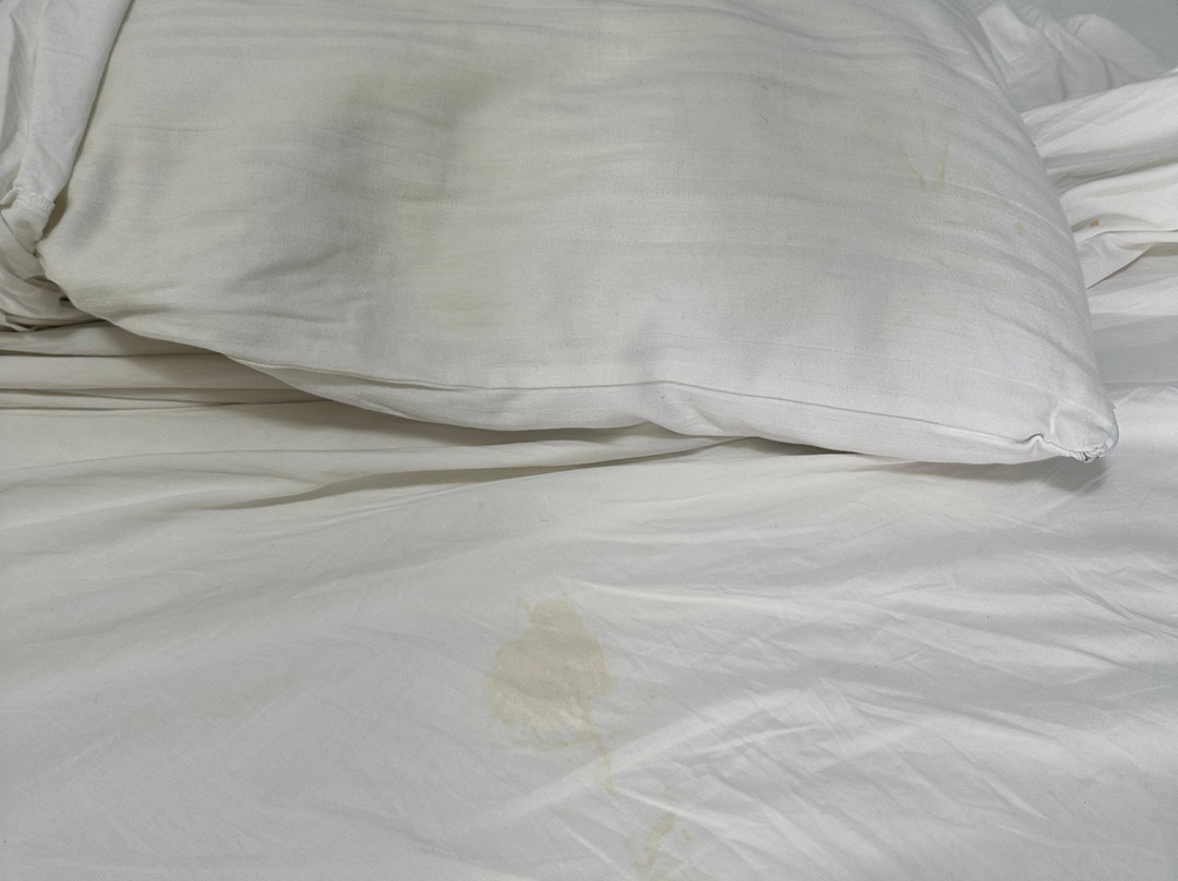 B&B A Casa di Picci主图