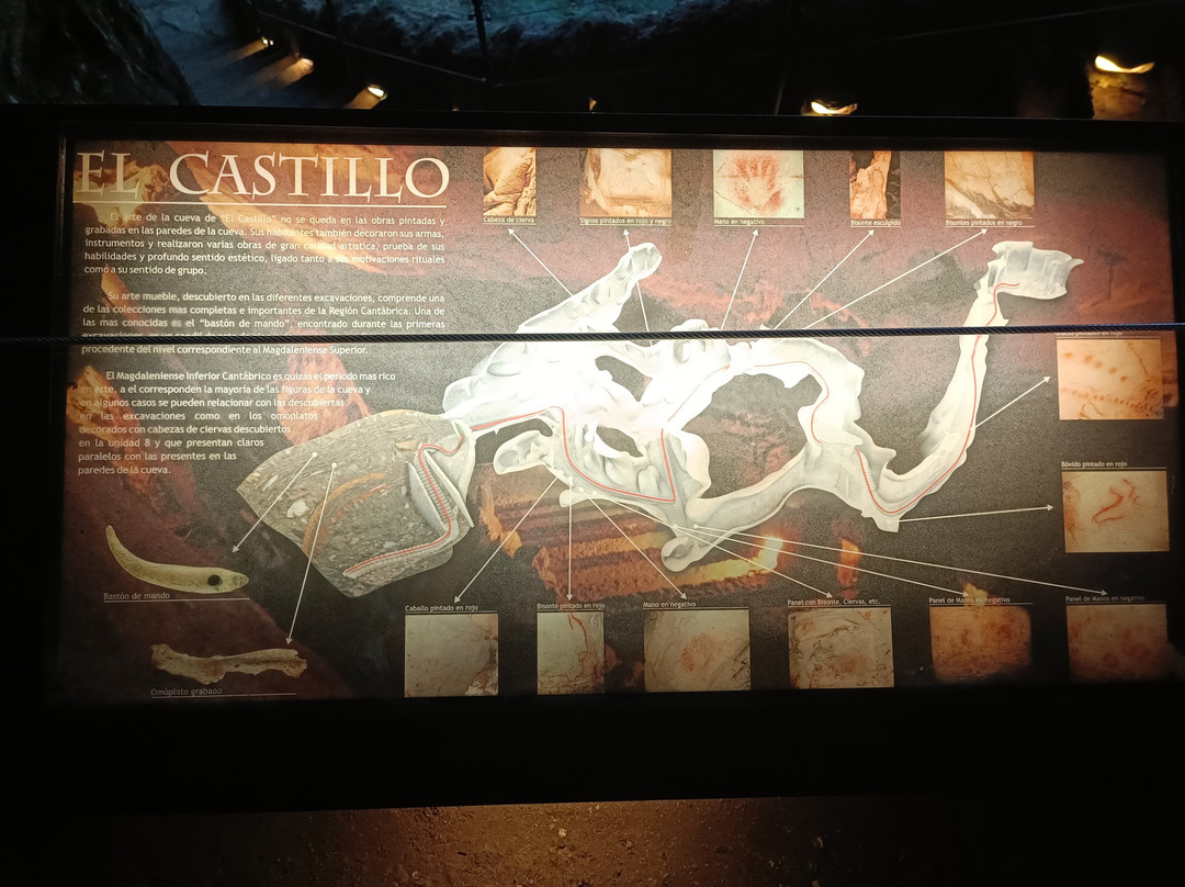 Cave of El Castillo-Puente Viesgo必去景点